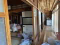 IMG_6348.jpeg