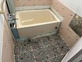 IMG_6357.jpeg