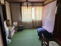 IMG_6367.jpeg