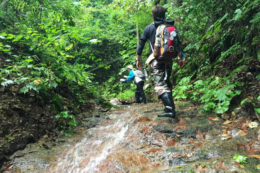 宇留部山の画像