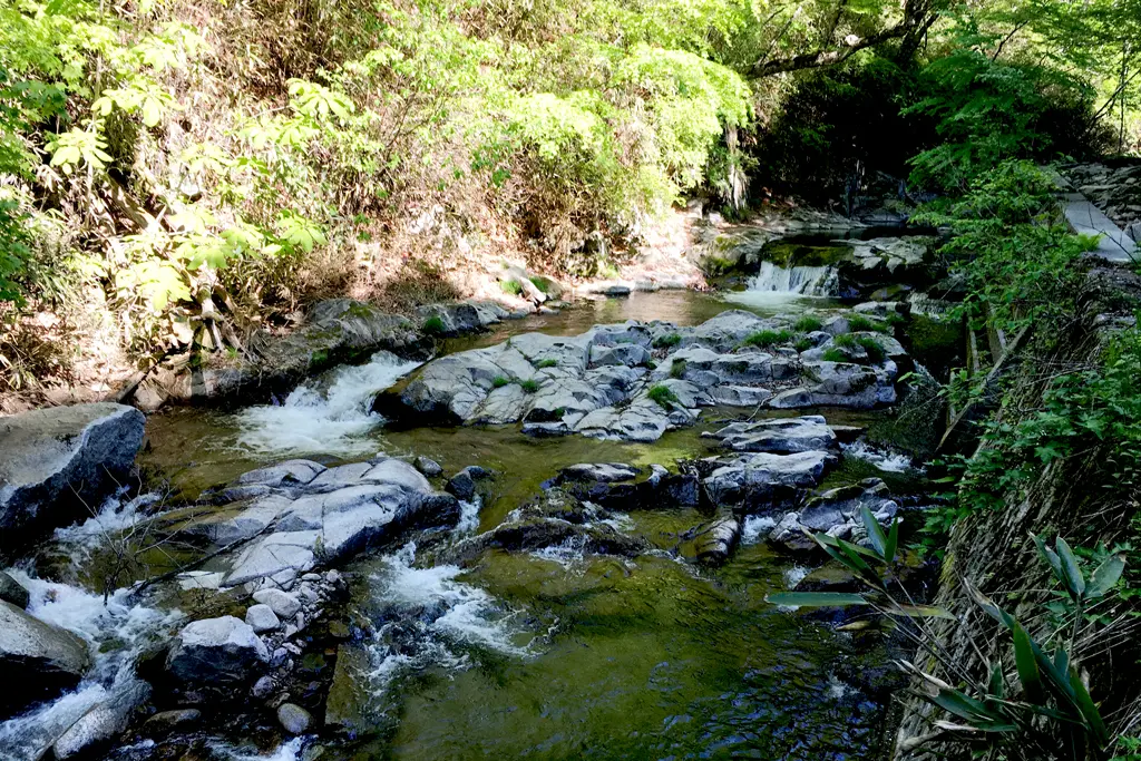 モデルコースのイメージ画像
