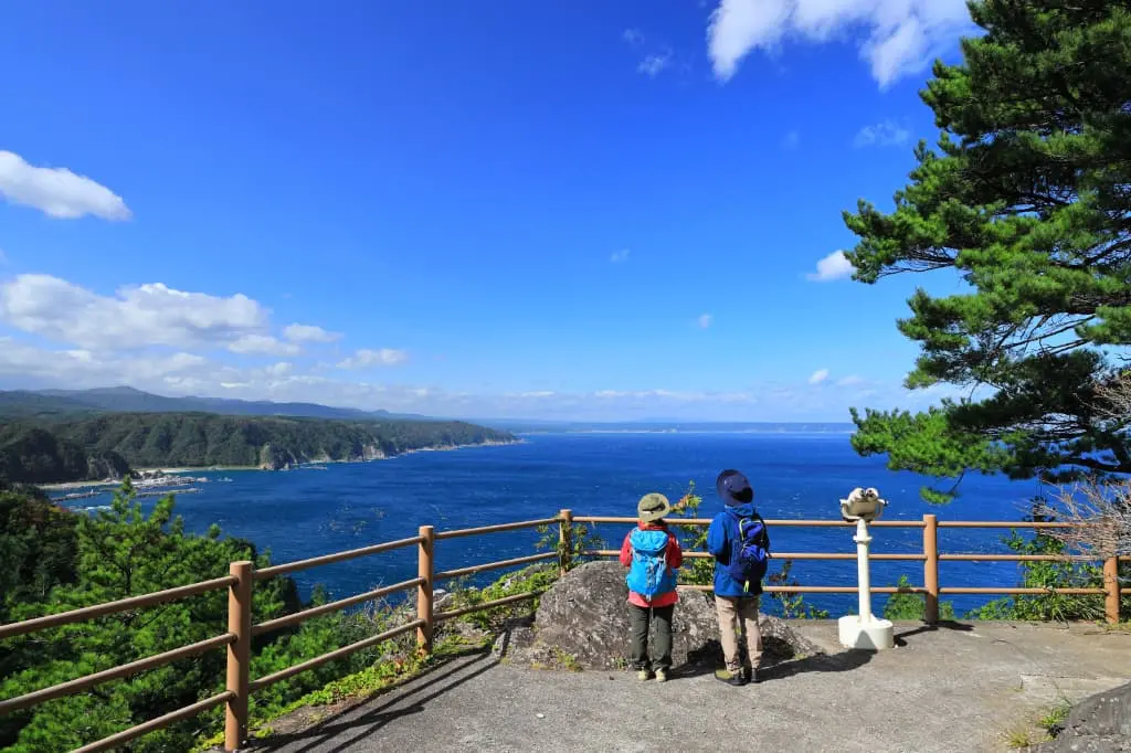木と澄んだ青空に囲まれた高台から、広大な海を見渡す観光スポット