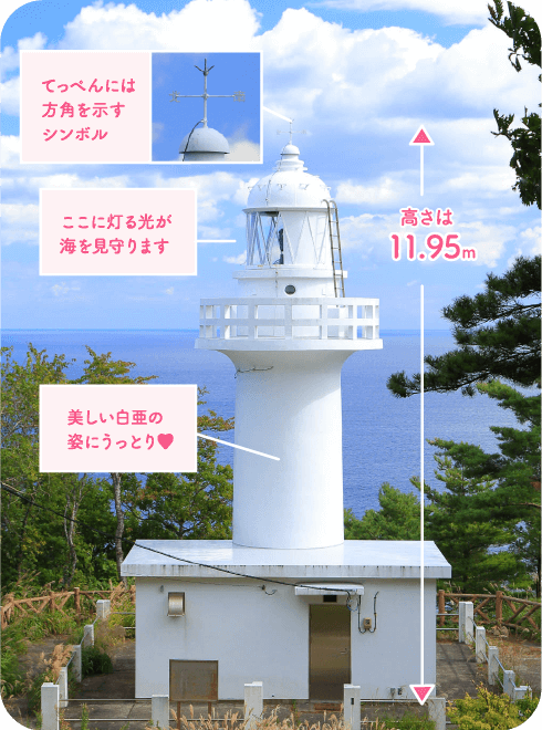 高さは11.95m てっぺんには北と南を示すシンボル ここに灯る光が海を見守ります 美しい白亜の姿にうっとり♥